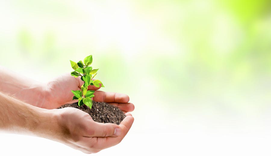 Prensa. AFIP: prorrogan vencimientos de los precios de transferencia (Ambito Financiero 13.12.2019)