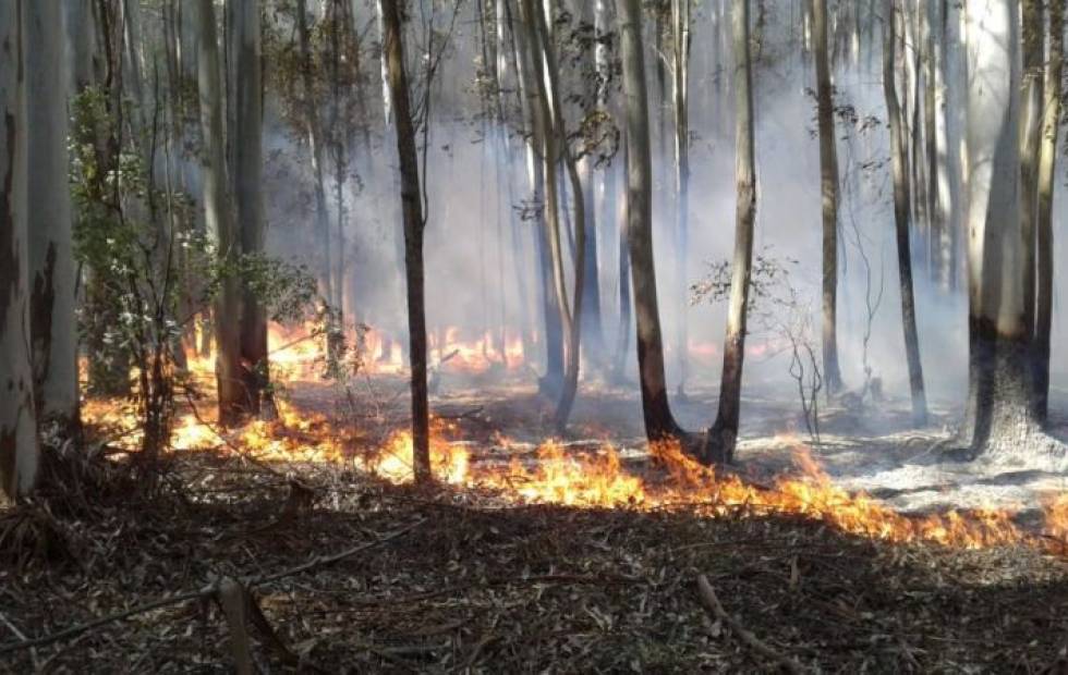Emergencia agropecuaria por sequía e incendios en provincias argentinas