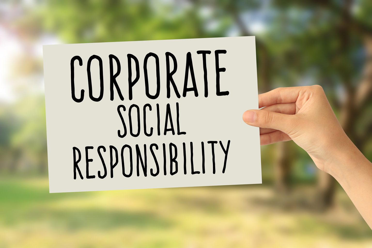 Responsabilidad Social Empresarial: Por qué es tan importante y cómo hacerlo bien