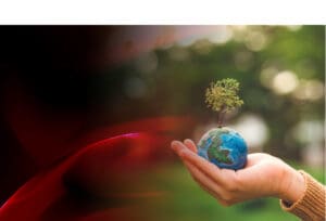 ¿Por qué la sostenibilidad impulsa el éxito empresarial?