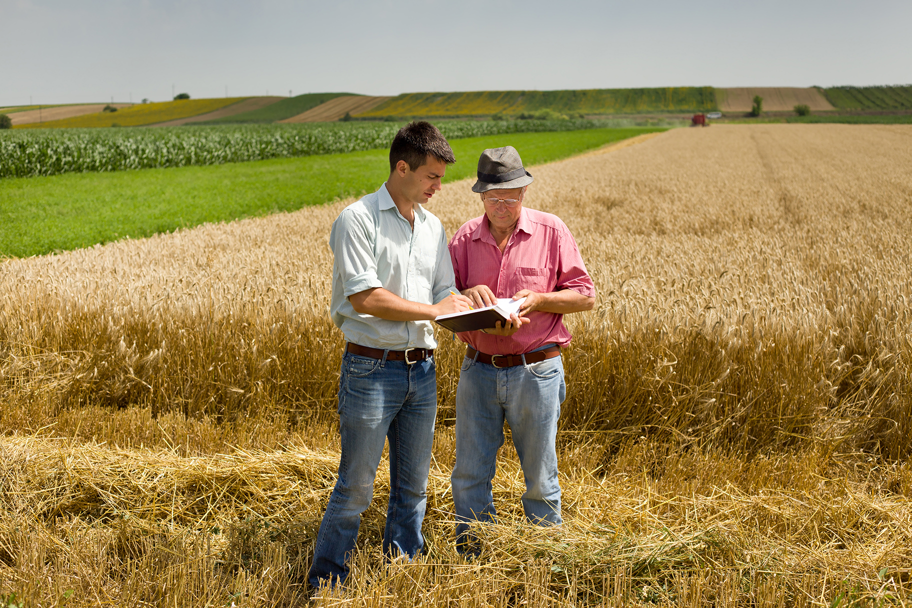 Agribusiness in Uruguay a good business