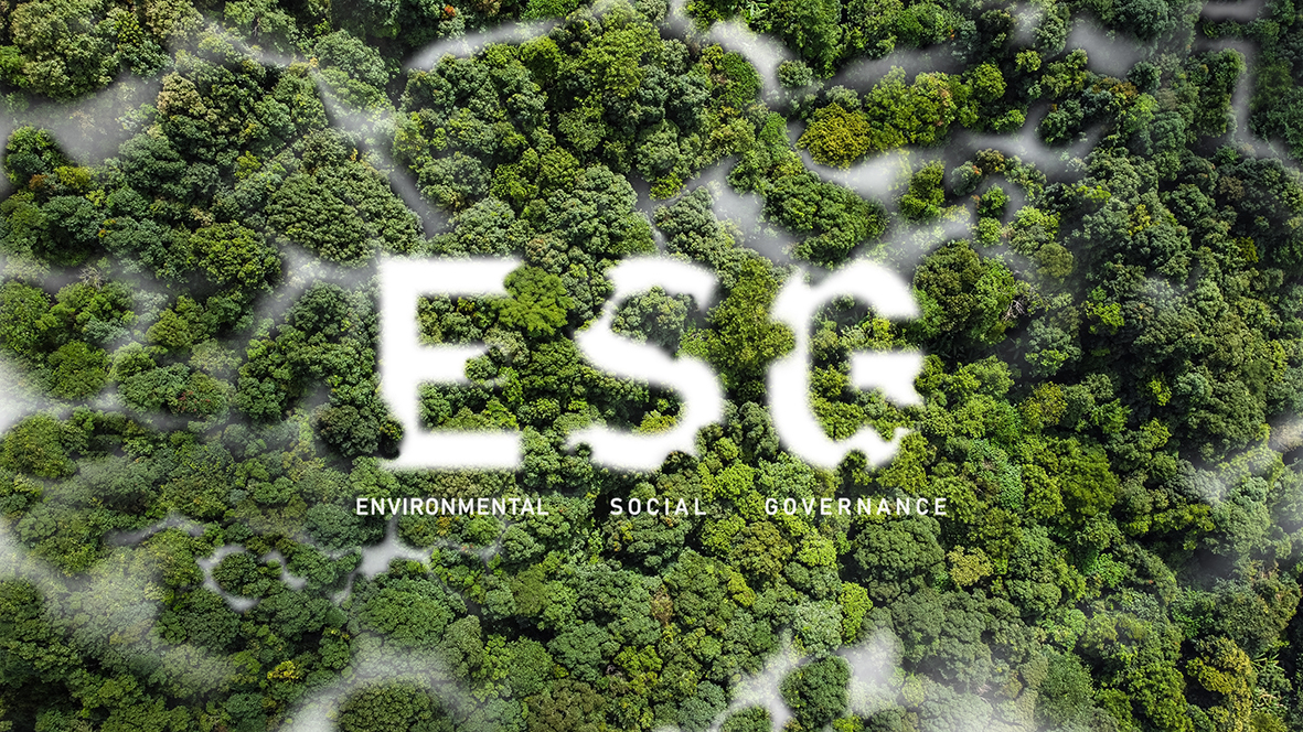 EU Green Deal and ESG-reporting in the SME sector