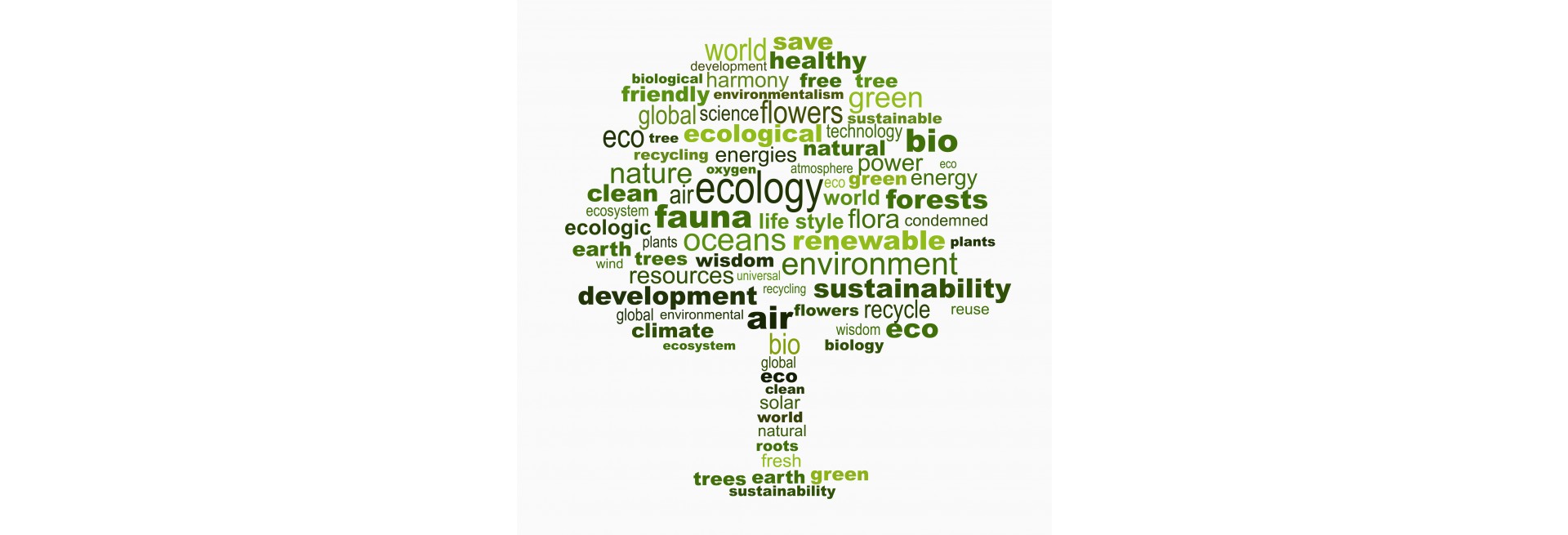 Evaluación Medioambiental