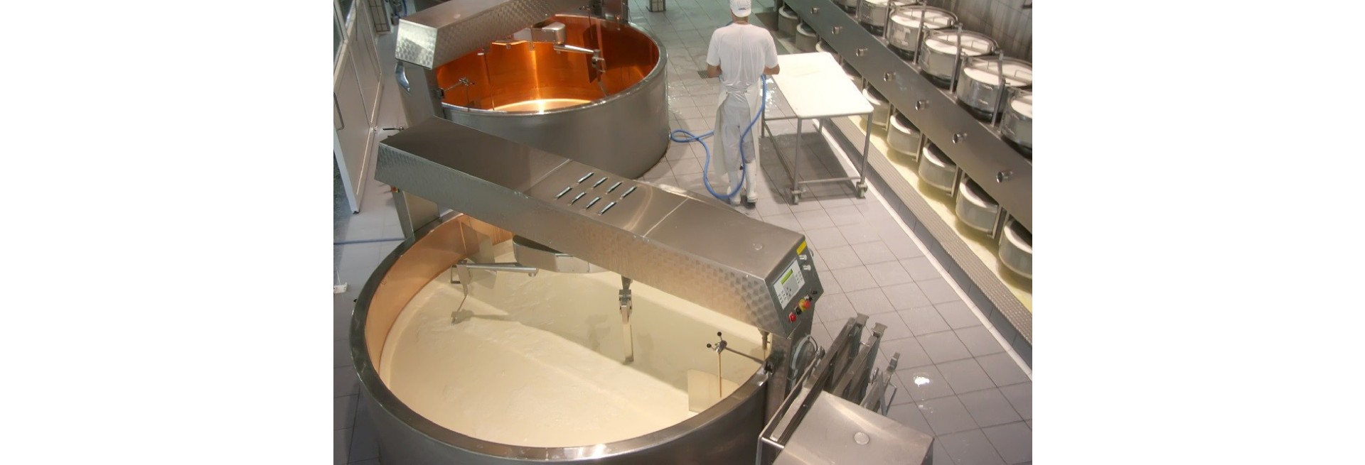 Seguridad Alimentaria en el Sector Turístico (APPCC)