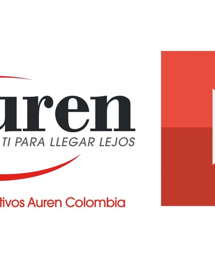 Juicio Profesional Contable