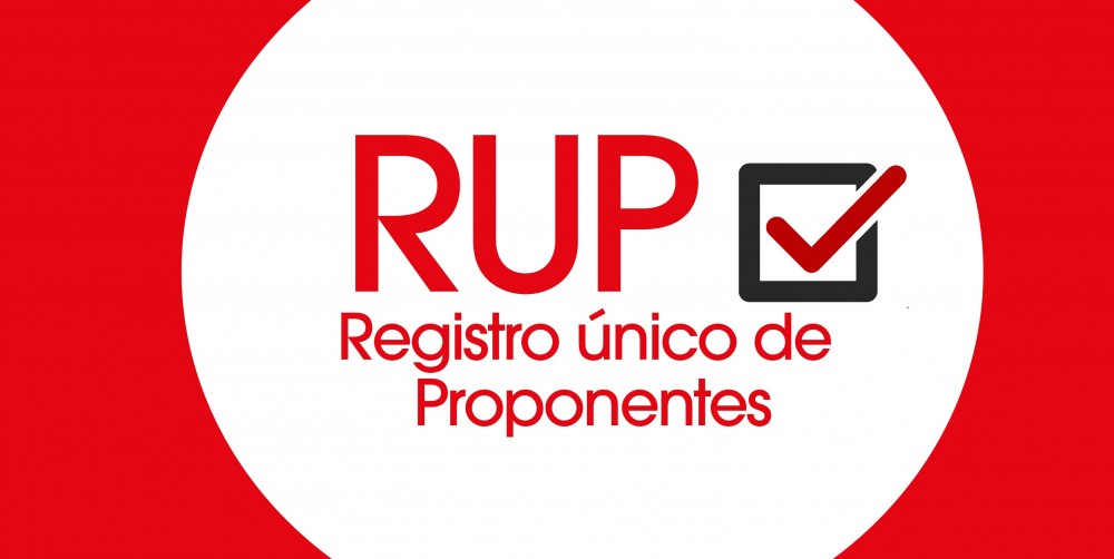 Sociedades recién constituidas pueden acreditar como propia la experiencia de sus socios/accionistas Sociedades recién constituidas pueden acreditar como propia la experiencia de sus socios/accionistas