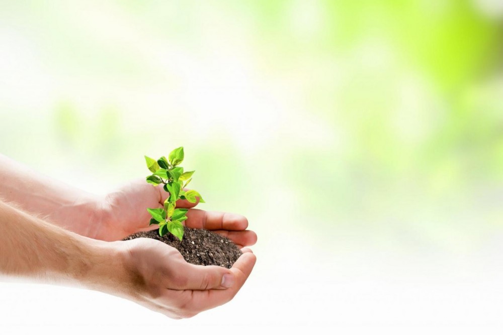 Exención de la sobretasa ambiental a favor de un credo religioso específico vulnera la igualdad y libertad religiosa Exención de la sobretasa ambiental a favor de un credo religioso específico vulnera la igualdad y libertad religiosa