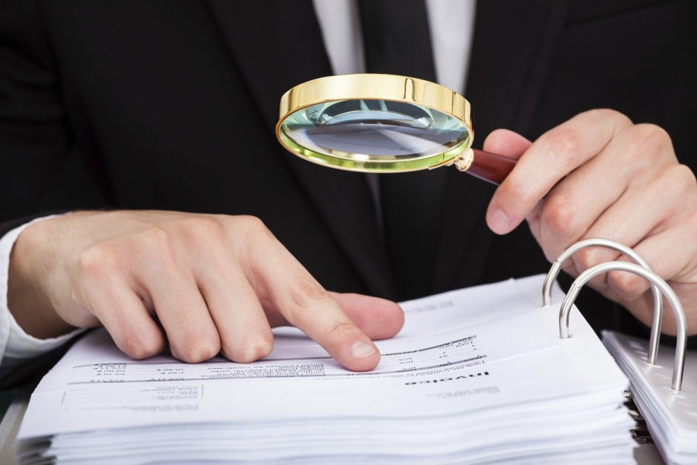 Revisor Fiscal puede resolver inquietudes y emitir conceptos pero no coadministrar Revisor Fiscal puede resolver inquietudes y emitir conceptos pero no coadministrar