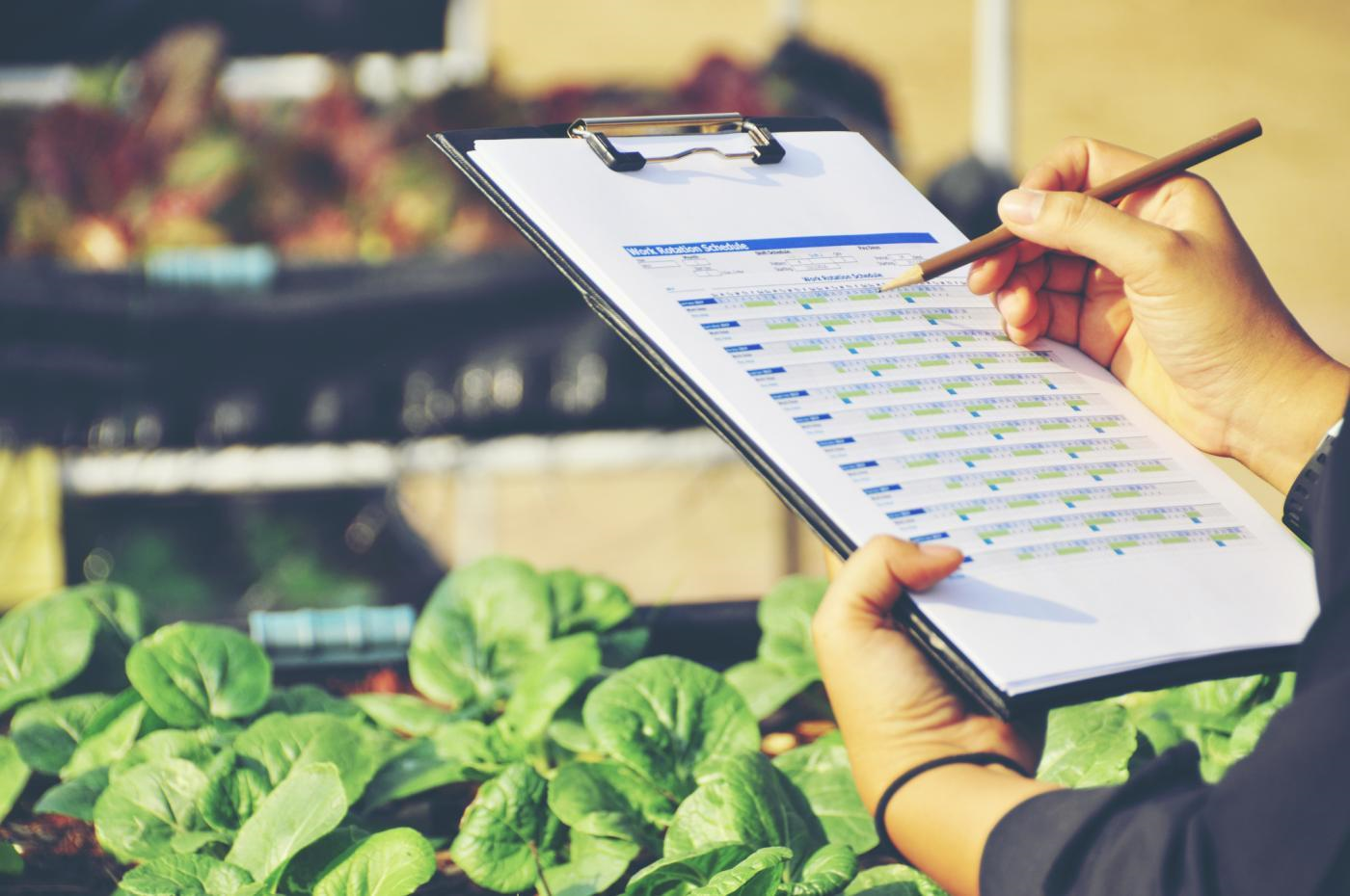 ¿Cómo quedó la tarifa del impuesto al consumo de comidas y bebidas?