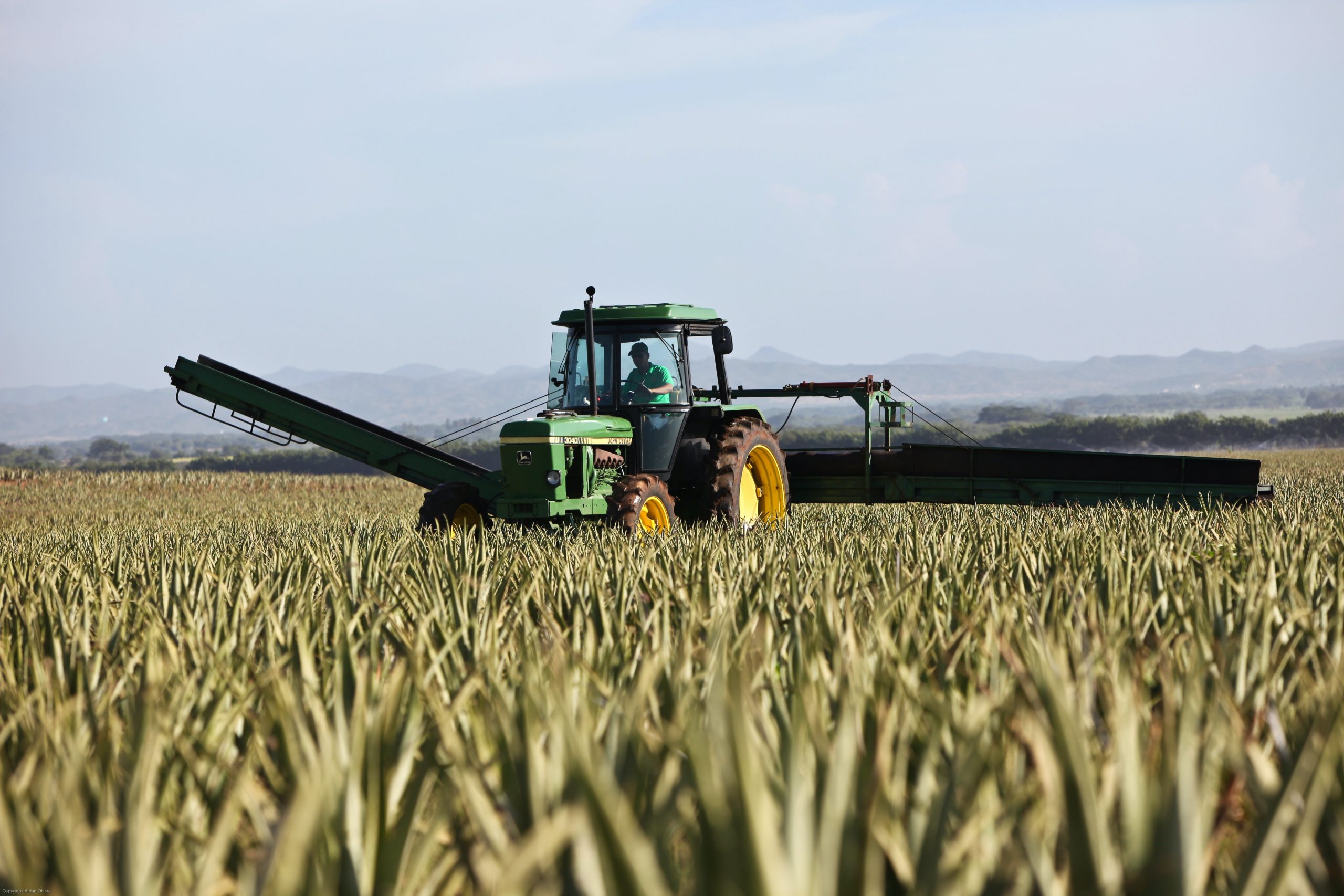 ¿A cuáles productos se les redujo el gravamen arancelario al 0%? ¿A cuáles productos se les redujo el gravamen arancelario al 0%?