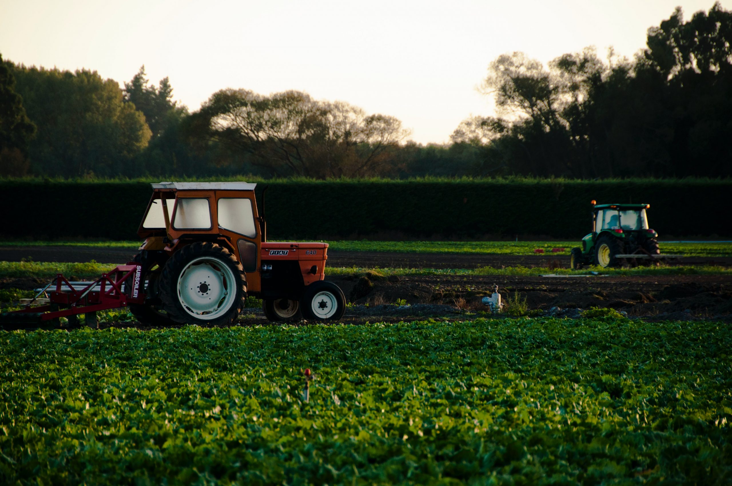 Monto mínimo de empleos para renta exenta en sector agropecuario Monto mínimo de empleos para renta exenta en sector agropecuario