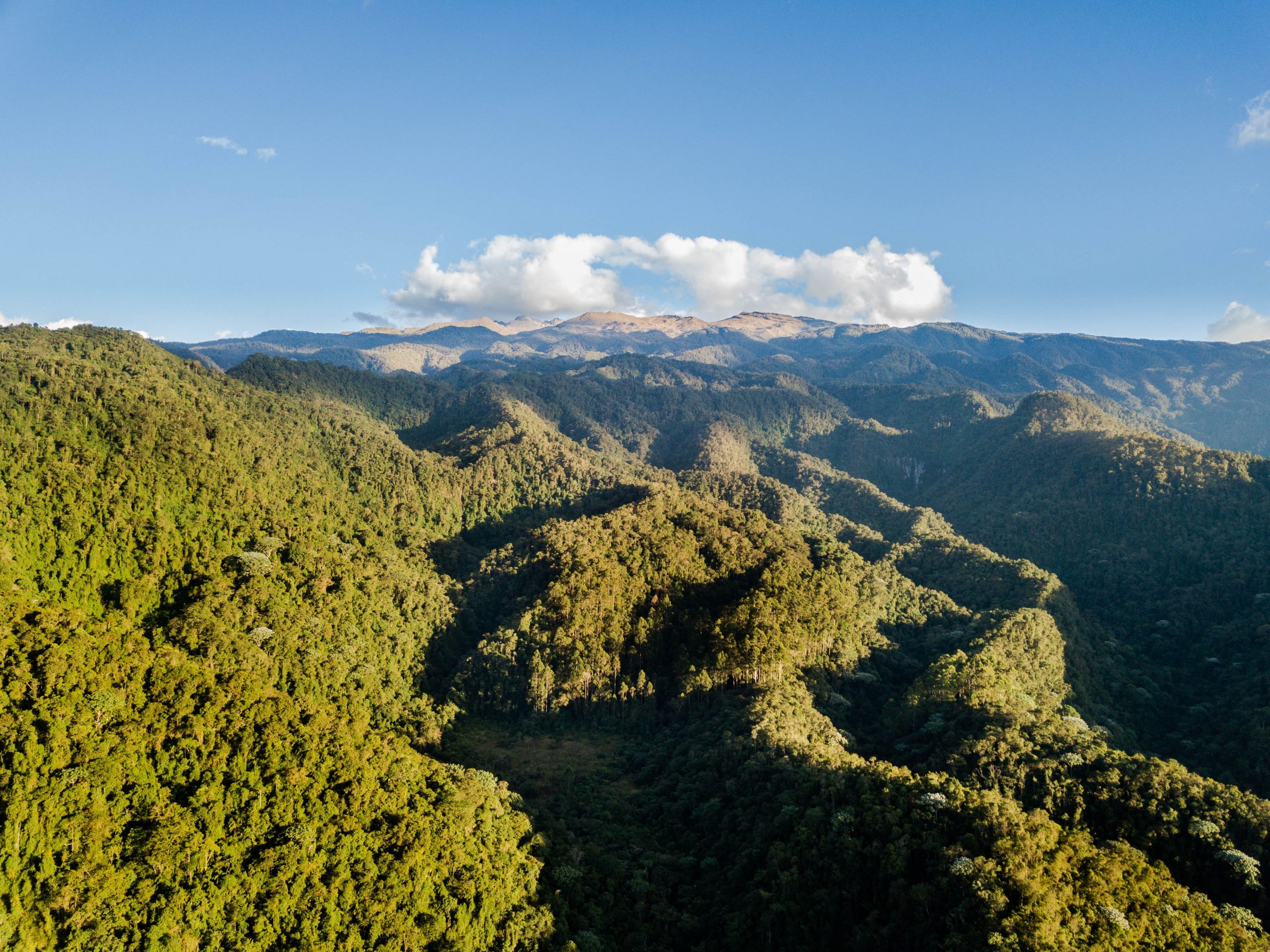 Proyectos para el servicio de GLP para Nariño y Cesar serán Cofinanciados por el Gobierno colombiano Proyectos para el servicio de GLP para Nariño y Cesar serán Cofinanciados por el Gobierno colombiano