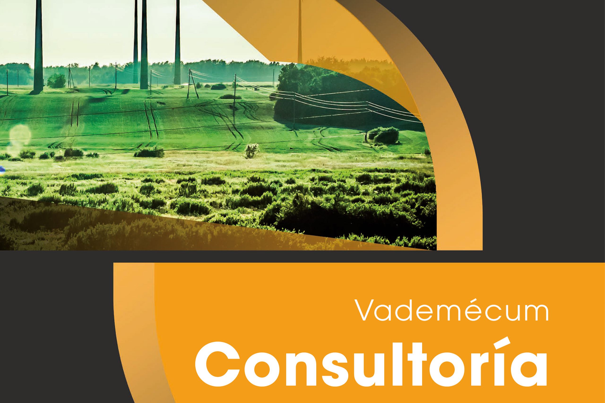 Vademécum consultoría 2025