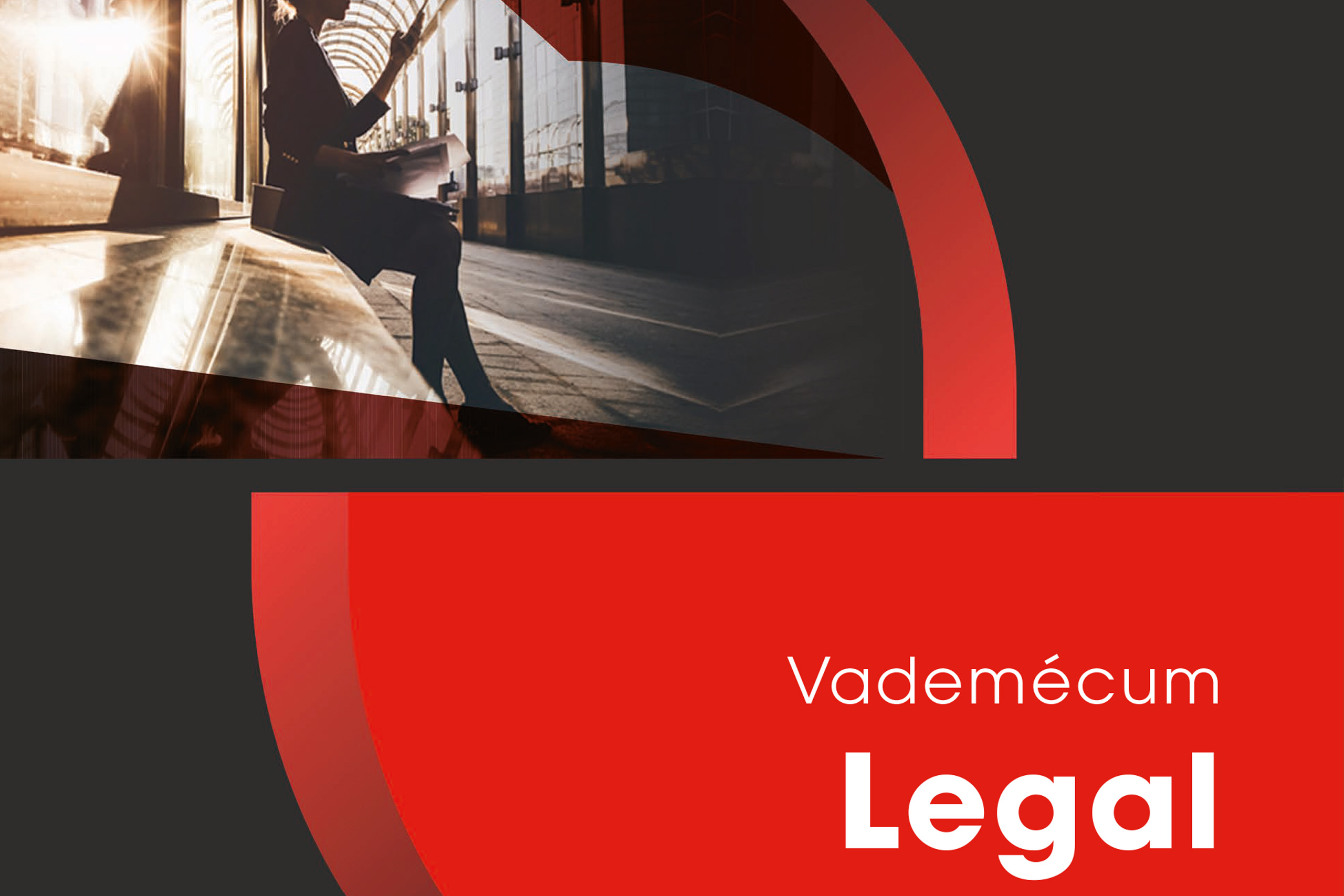 Vademécum legal 2025