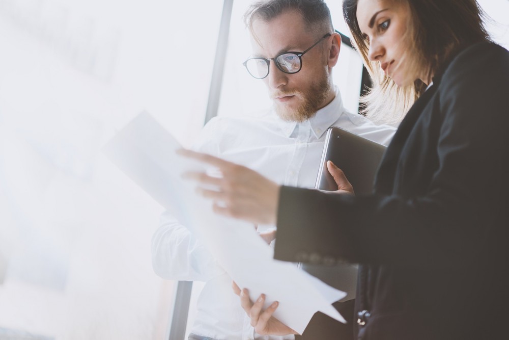 Accountant’s professional behavior and its effect on decision making process in the companies