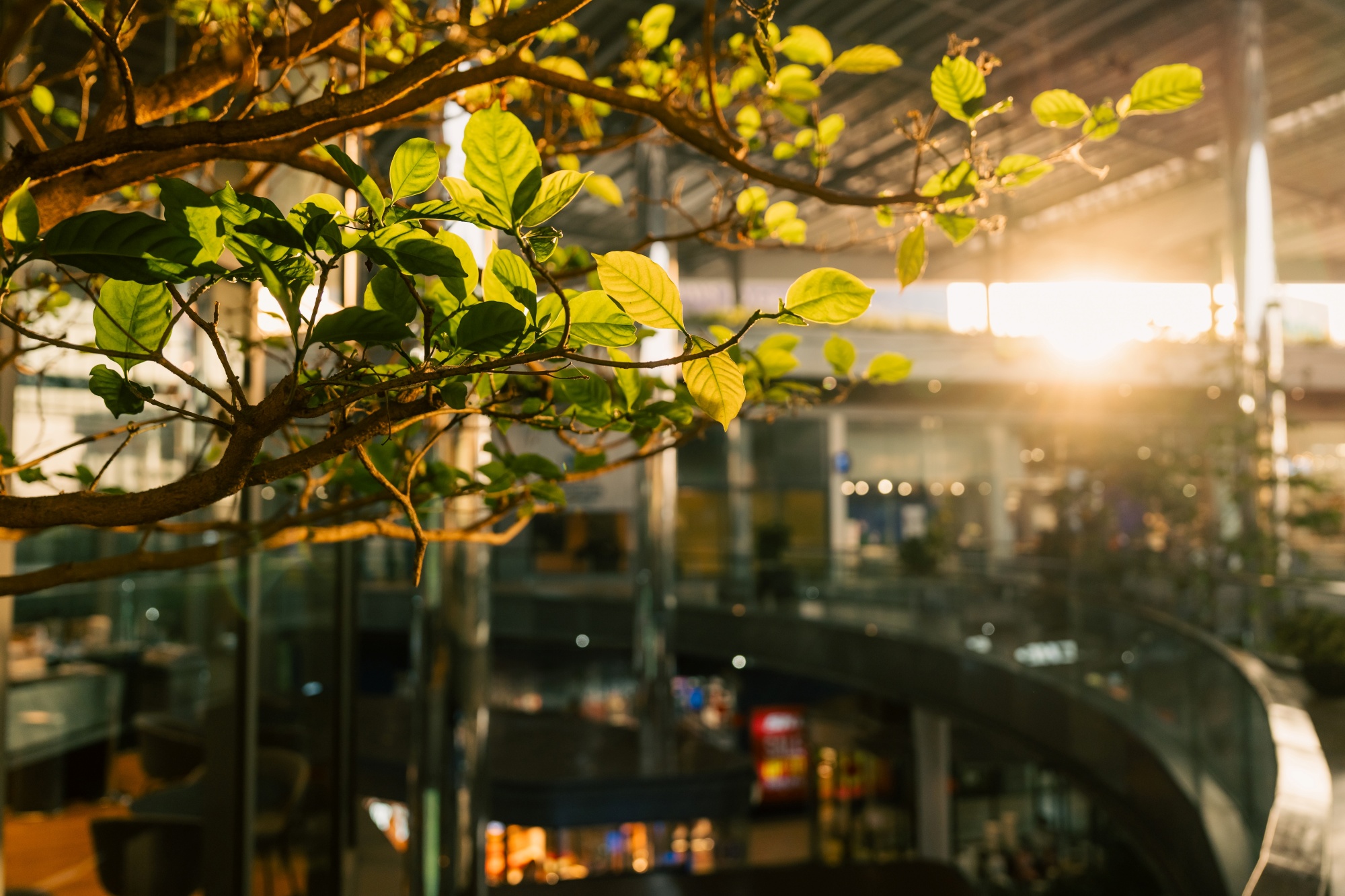 Sustainability & Solidarity Actions