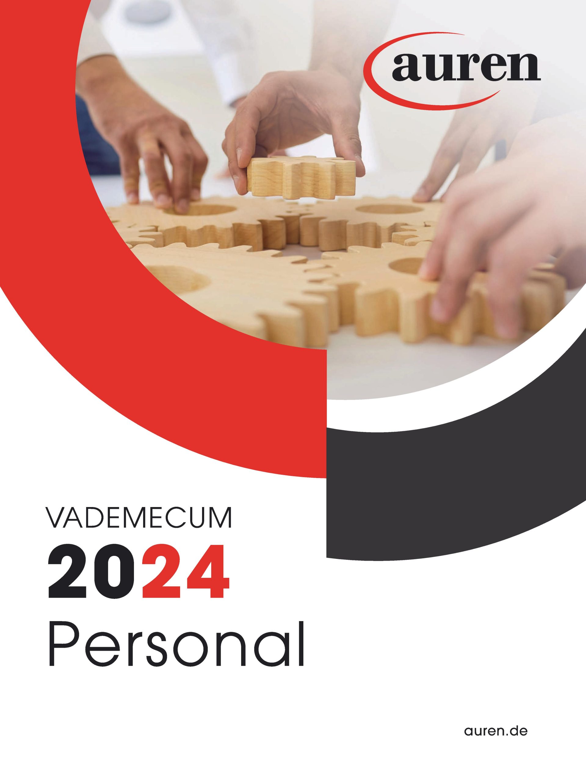 Vademecum 2024 Personal