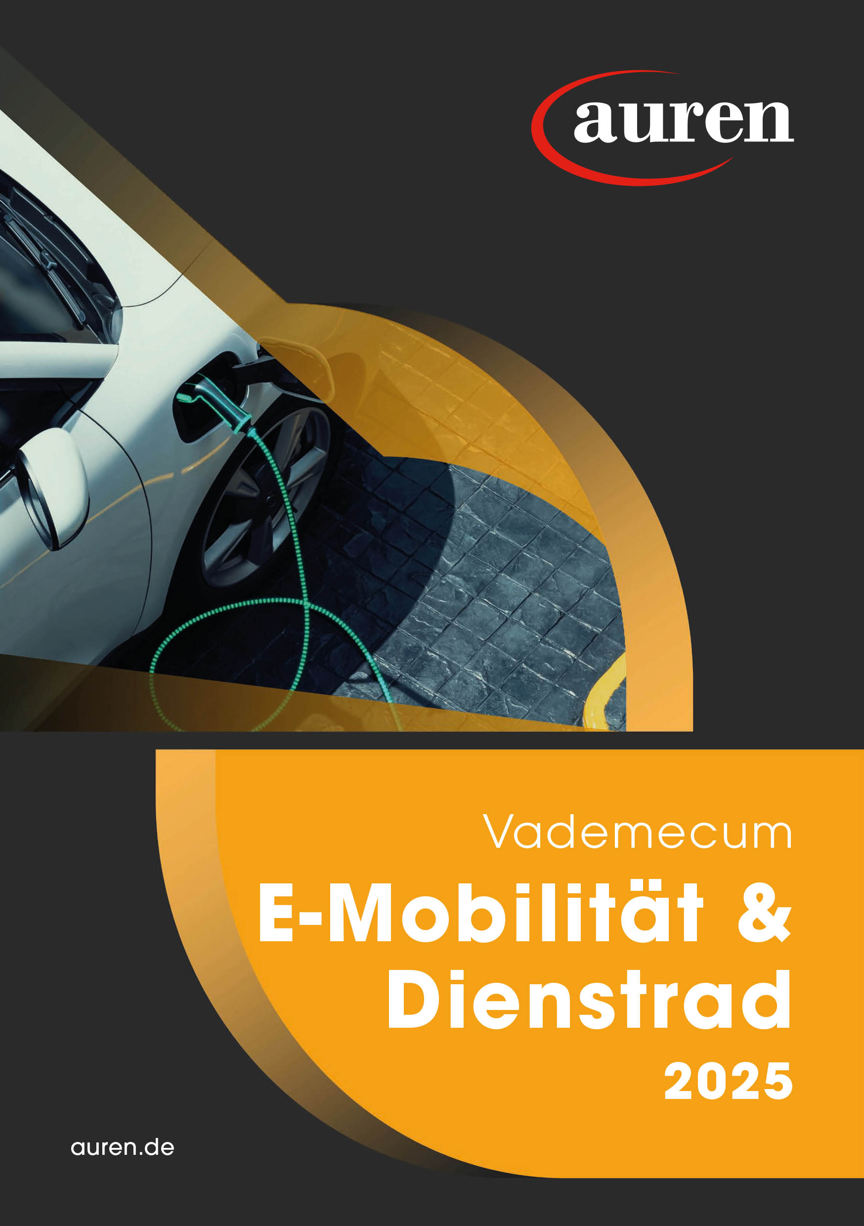 Vademecum 2025 Dienstrad & E-Mobilität