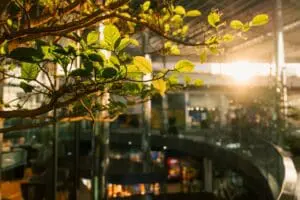 Sustainability & Solidarity Actions