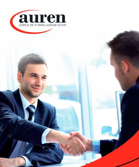 https://auren.com/es/wp-content/uploads/2021/12/Consultoria-A4.pdf