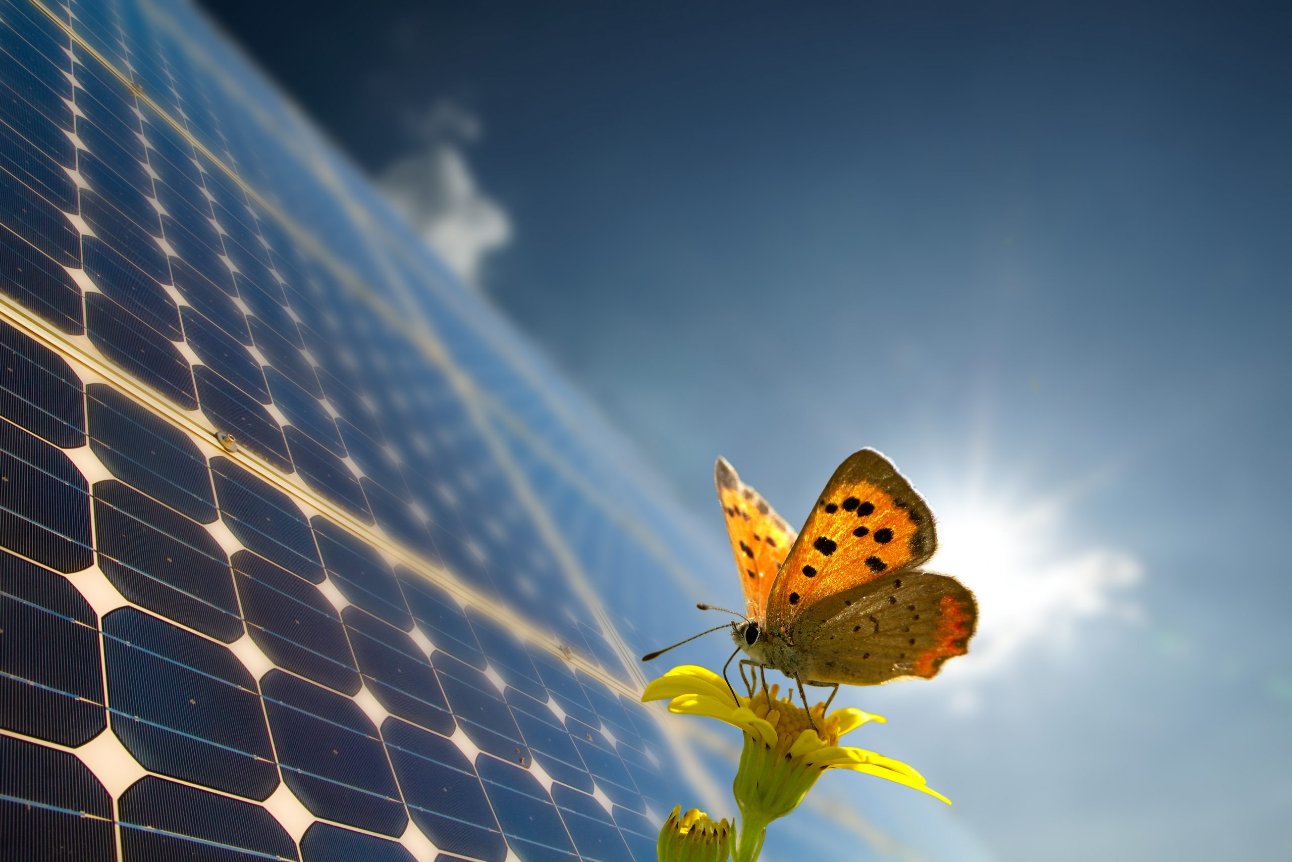 Así es la nueva Ley de Cambio Climático y Transición Energética Así es la nueva Ley de Cambio Climático y Transición Energética