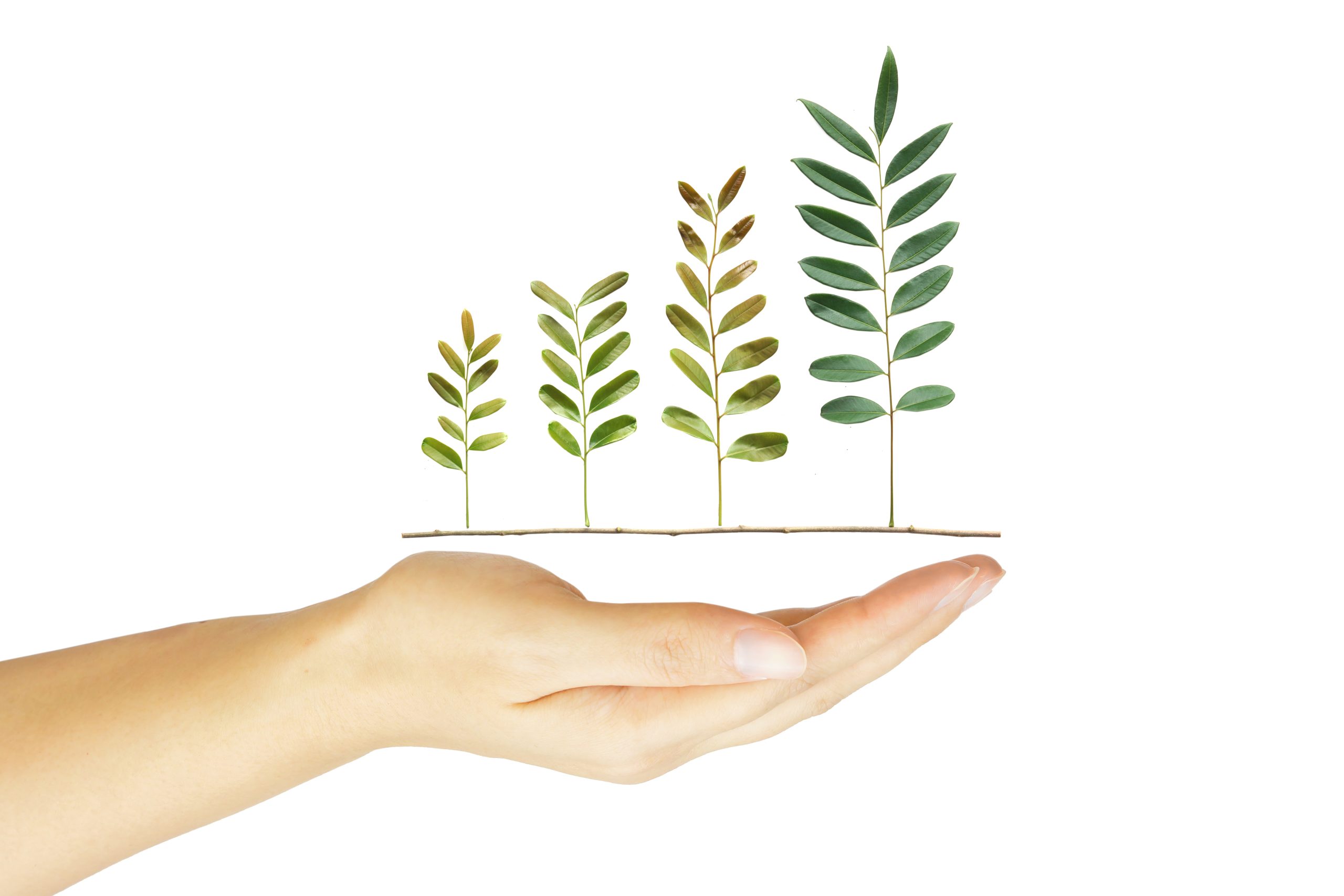 Sube la presión de los reguladores sobre los fondos ESG para evitar el ‘greenwashing’