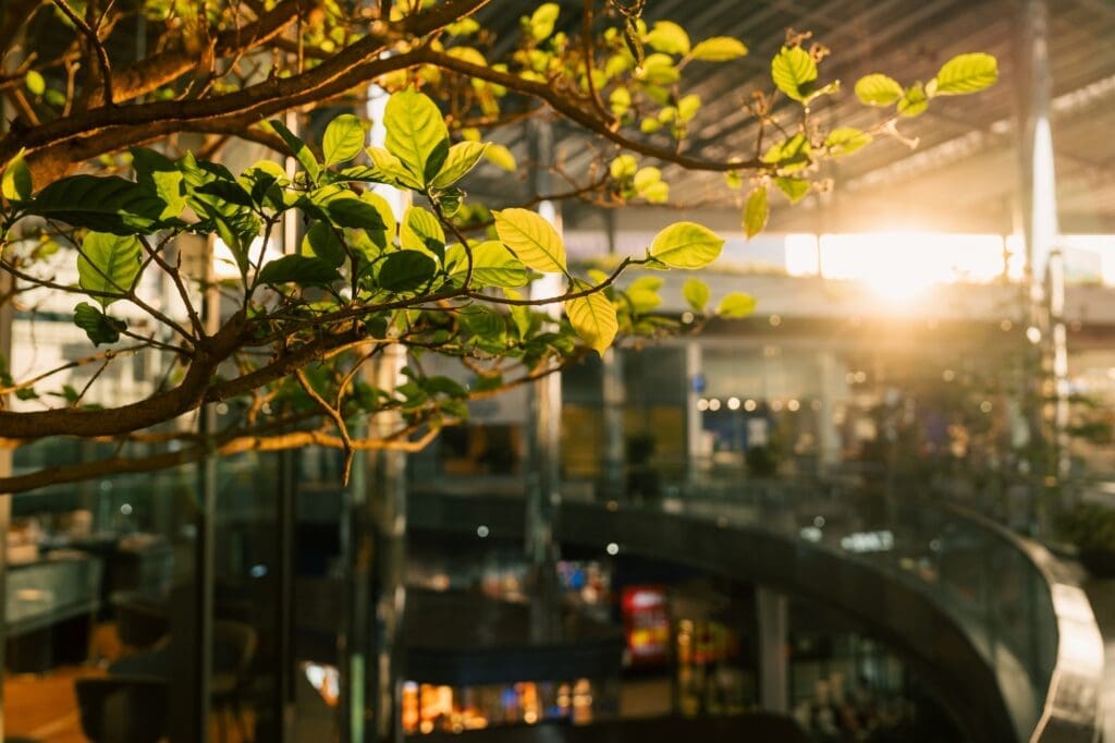 Blog