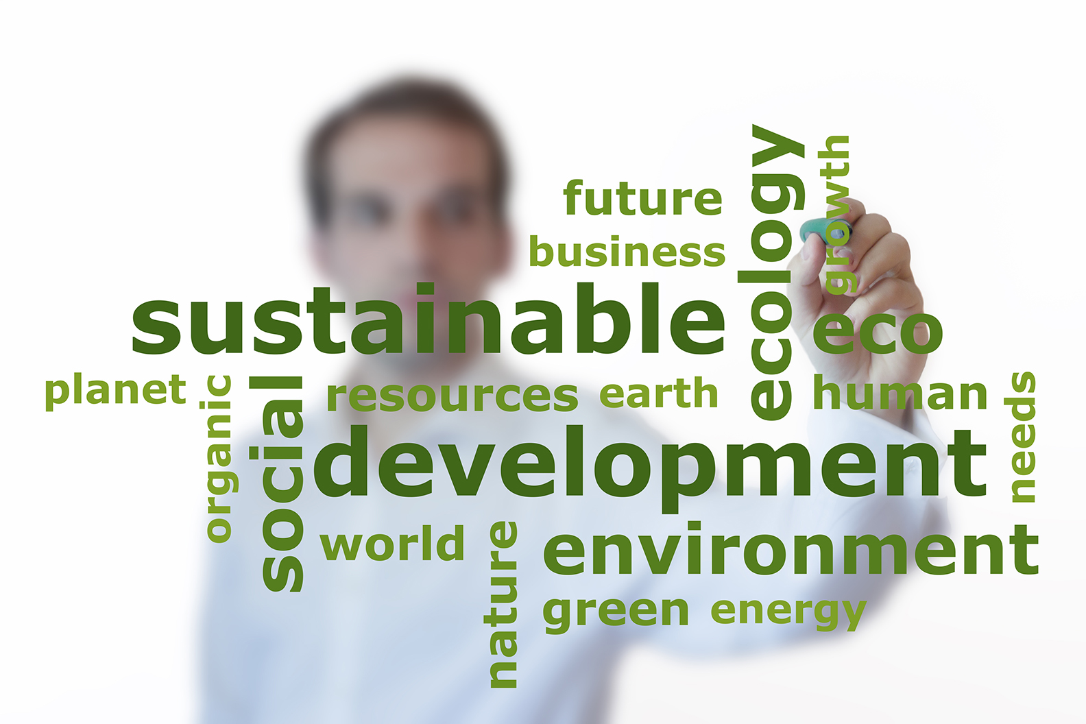Sustainability: a business changing concept
