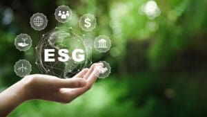 Sustainability in Mexico: A Strategic Challenge for Companies