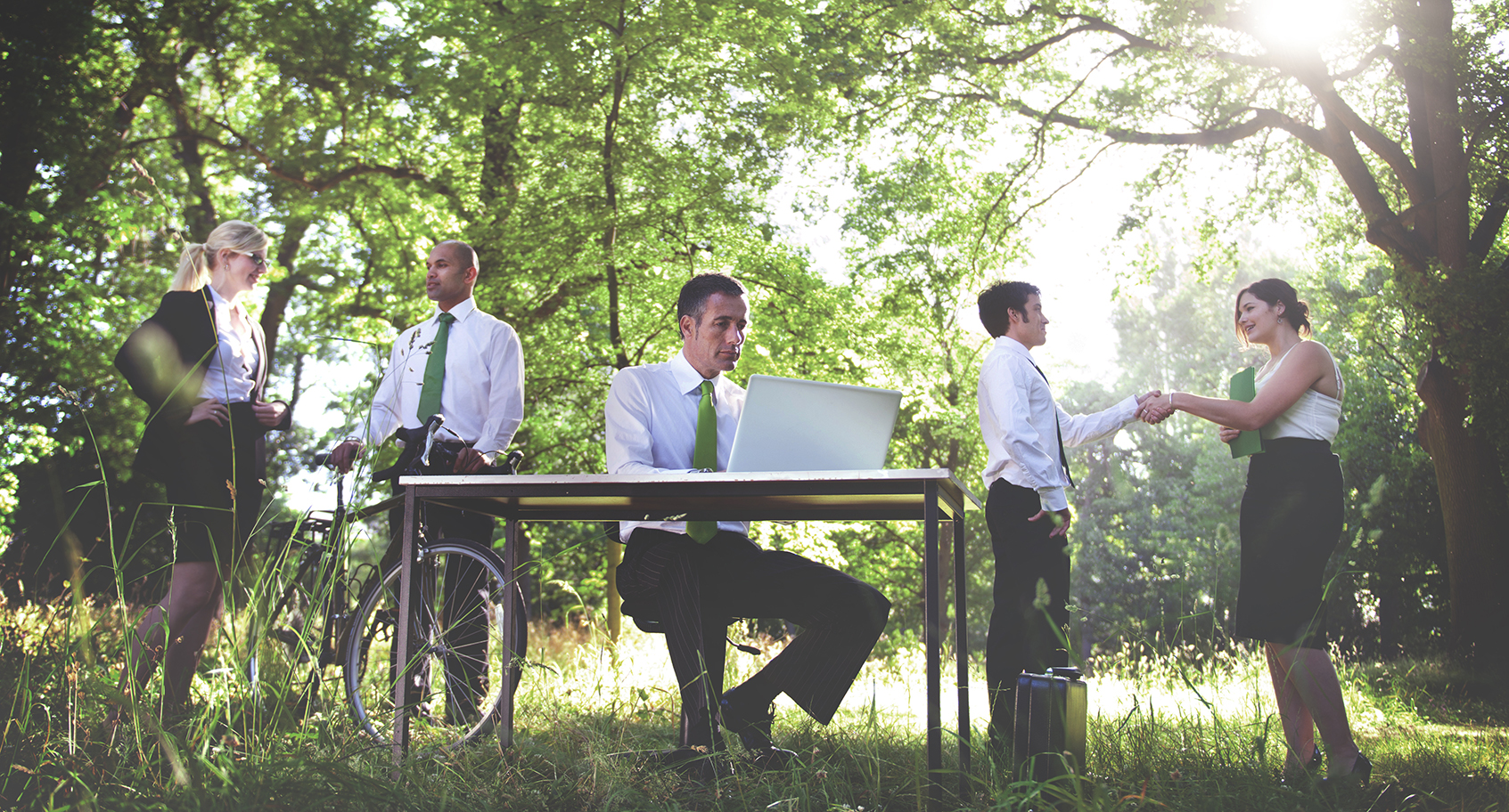 ESG Audits – the role of auditors