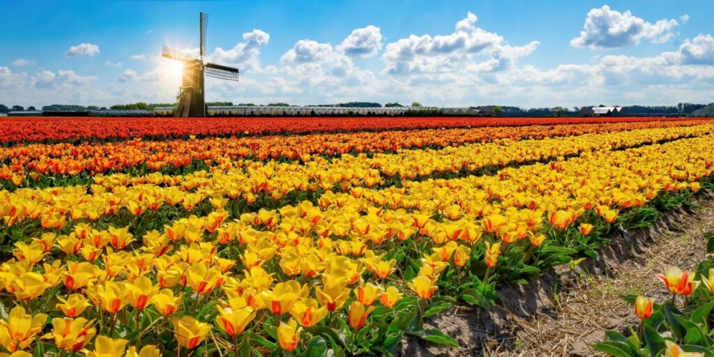 Nieuws Nieuws