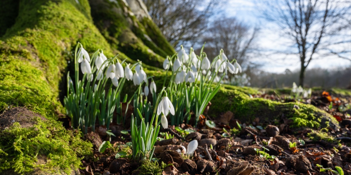 Ontdek de laatste trends