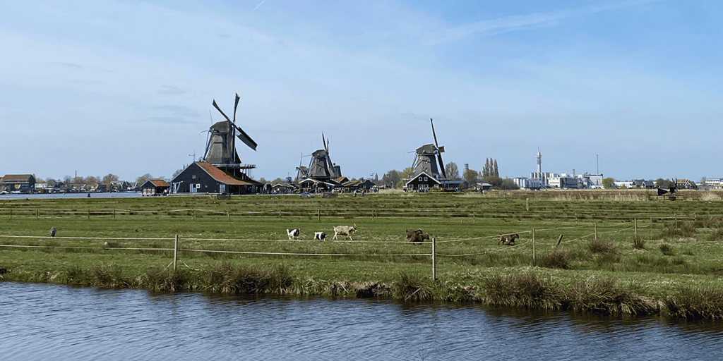 Nieuws