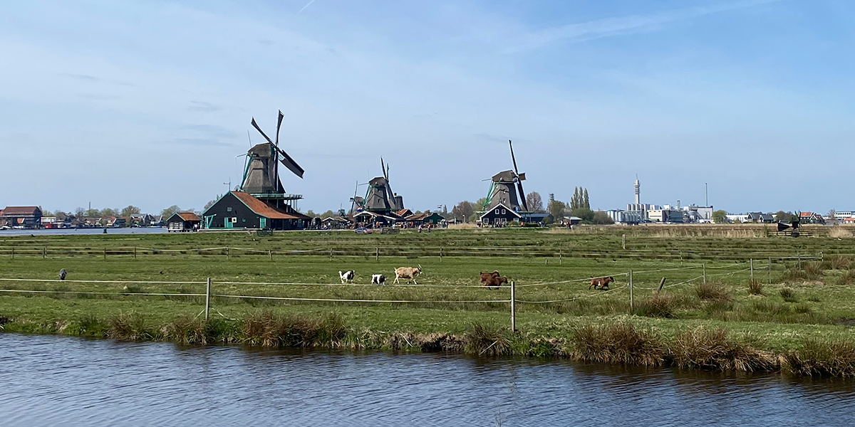 Nieuws