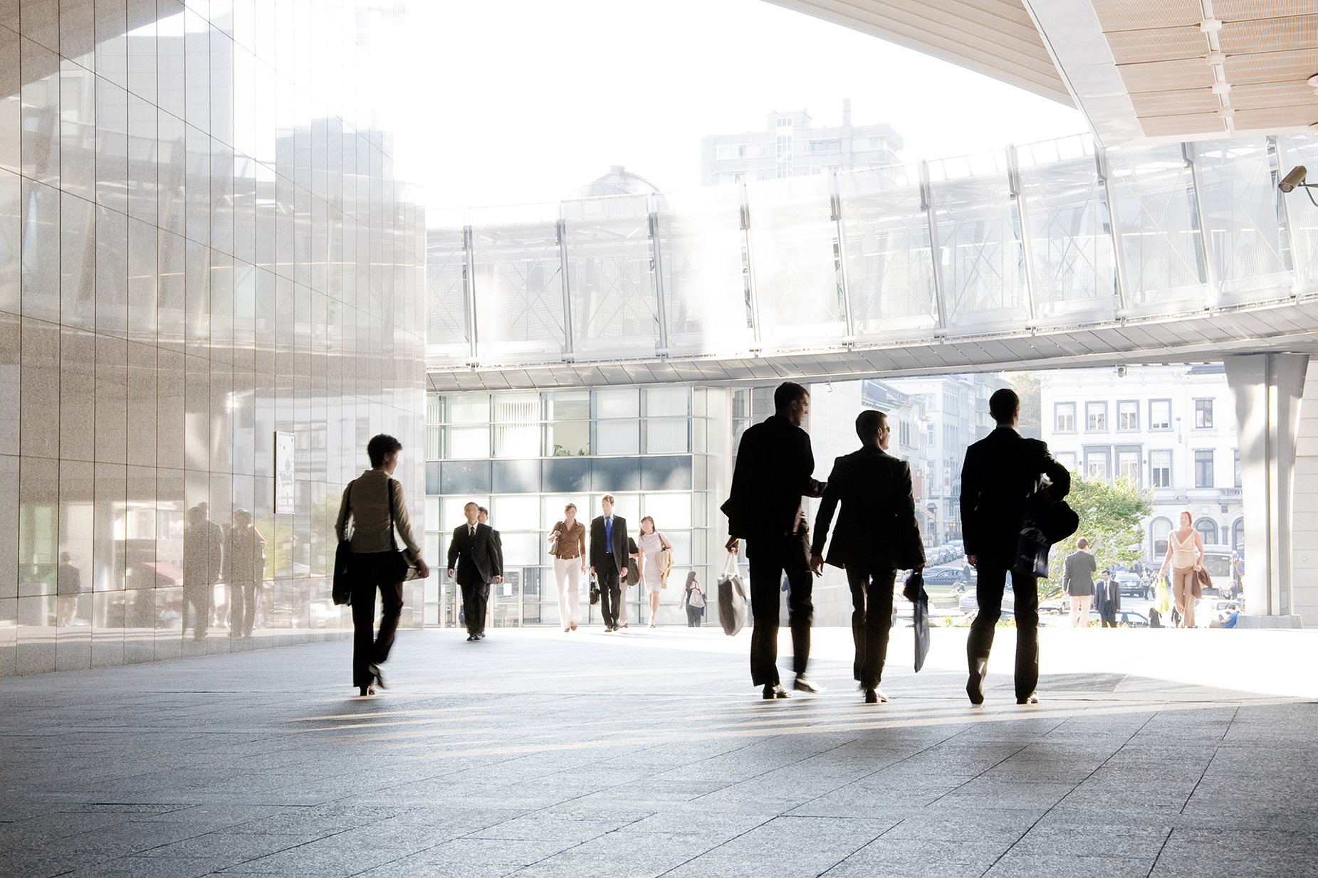 Consultancy is value added in government process