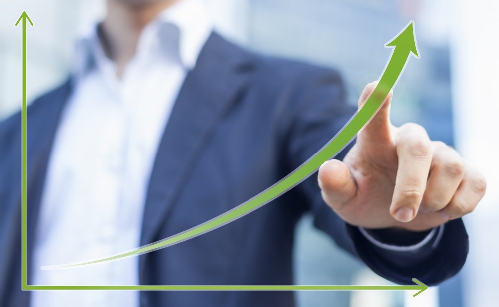 Decision-Taking Instrument