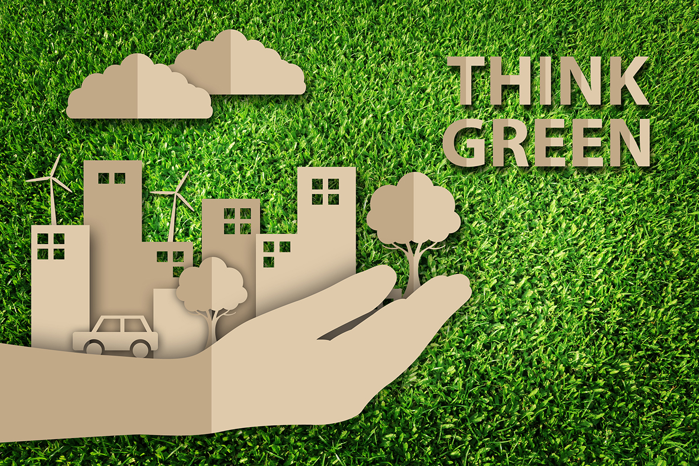 Driving change: Auren’s Green Team and the sustainability agenda