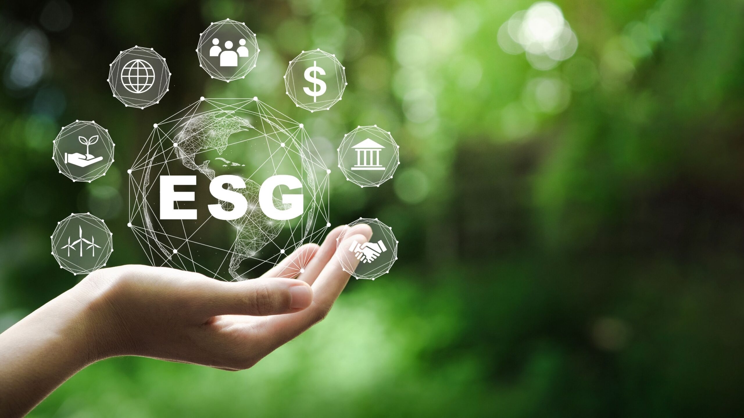 Sustainability in Mexico: A Strategic Challenge for Companies